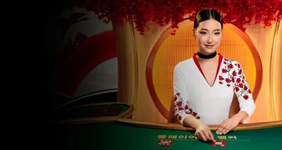 Seotda Baccarat slot